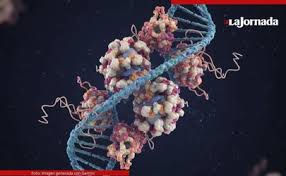 Científicos diseñan proteínas con capacidad cuántica