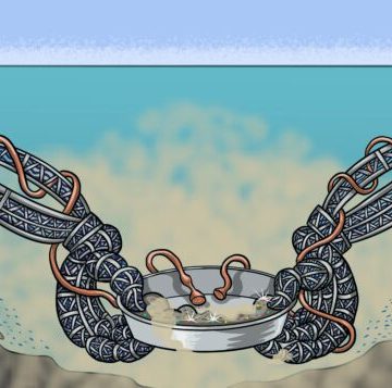 El asalto a los abismos: La minería submarina y el nuevo colonialismo de los metales