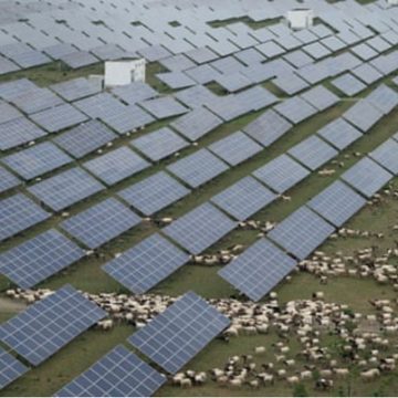 Podemos ir más allá del modelo capitalista y salvar el clima: estos son los tres primeros pasos
