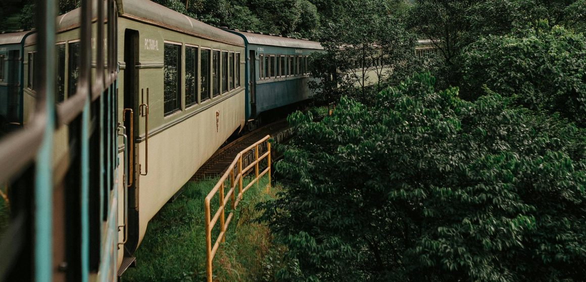 free-photo-of-viaje-panoramico-en-tren-a-traves-de-un-exuberante-bosque-verde Pensando con Roberto Bolaño: viajar es lindo, pero enferma