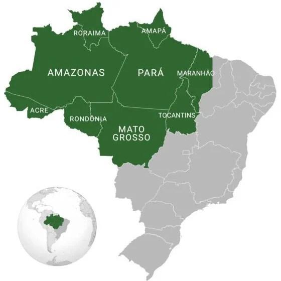 amazonia La extracción de minerales para energía limpia afecta la Amazonia