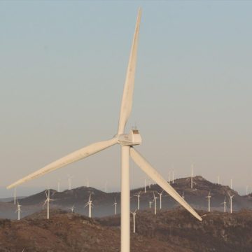 Las fuentes renovables superan por primera vez al carbón en la producción global de electricidad