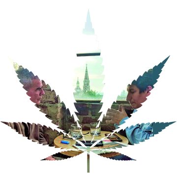 ¡Liberando la planta de cannabis!