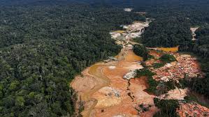 Amazonia, devastada por minería de oro y narco; prevén colapso ecológico
