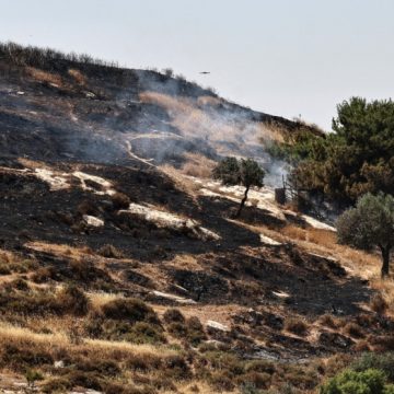 Amnistía Internacional pide sanciones a Israel por su “limpieza étnica” en Cisjordania
