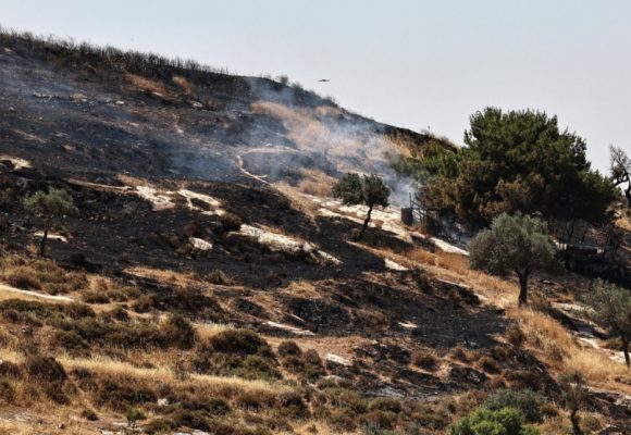 Amnistía internacional Cijosdania Amnistía Internacional pide sanciones a Israel por su “limpieza étnica” en Cisjordania