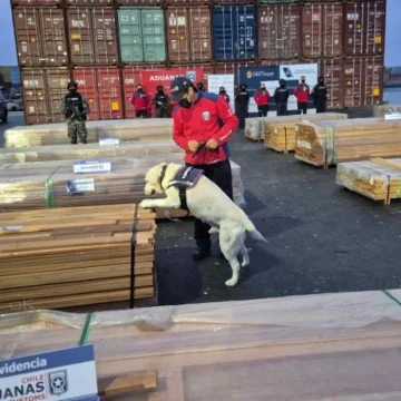 Decomisan 108 toneladas de droga en puertos de Chile escondidos en madera para exportar