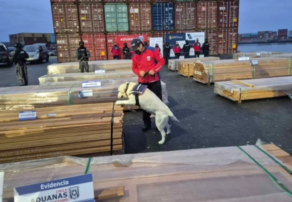 Chile Decomisan 108 toneladas de droga en puertos de Chile escondidos en madera para exportar