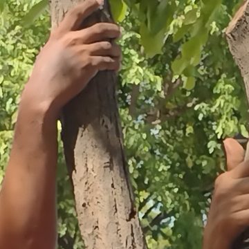 Colombia: un pacto por la vida y el amor a la patria, frente a la injerencia con trinos de guerra