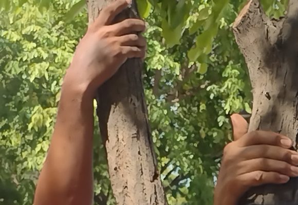 NATALIE Colombia: un pacto por la vida y el amor a la patria, frente a la injerencia con trinos de guerra