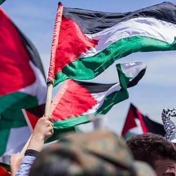 Palestina Documentos internos revelan que la «Junta de Paz» de Trump está actuando para acabar con la autodeterminación palestina