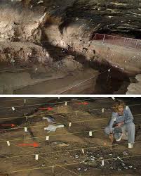 Estudio: el Homo erectus usó el fuego de manera oportunista y recurrente
