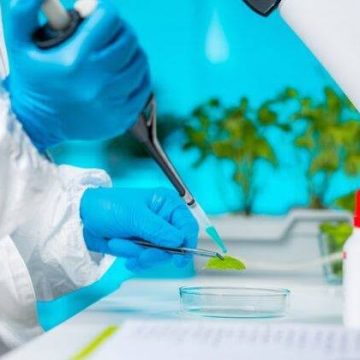 América Latina se organiza contra la edición génica