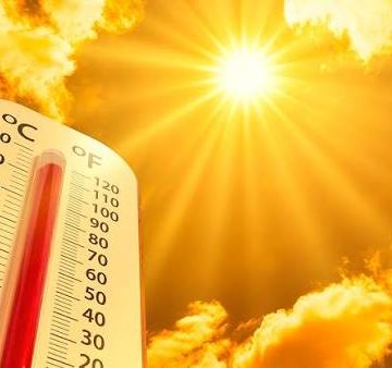 calor ¿Por qué los seres vivos no pueden tolerar el calor?