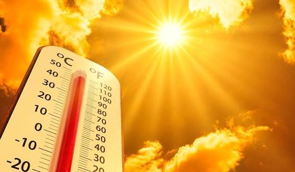 ¿Por qué los seres vivos no pueden tolerar el calor?