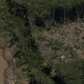Bonos de carbono en la amazorinoquía