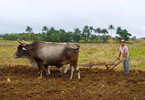 Estados Unidos apunta ahora al suministro de alimentos de Cuba