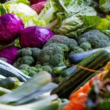alimentos Cómo transformar el sistema alimentario sin dejar a nadie atrás
