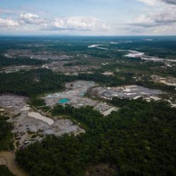 amazons Cinco países amazónicos detienen a 839 personas en histórica ofensiva contra delitos ambientales