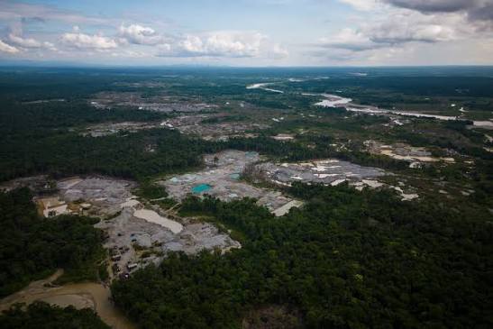 amazons Cinco países amazónicos detienen a 839 personas en histórica ofensiva contra delitos ambientales