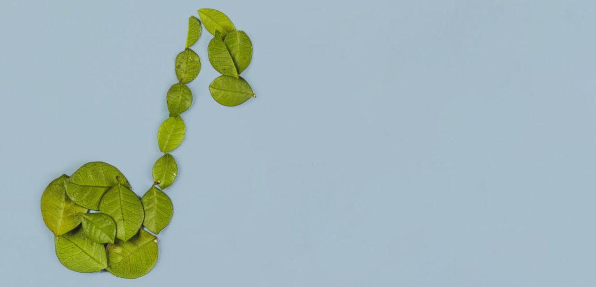 Por qué la “transición ecológica” es un engaño
