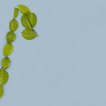 Por qué la “transición ecológica” es un engaño