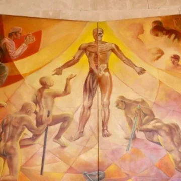 Transdisciplina: nuevo avance del pensamiento humano
