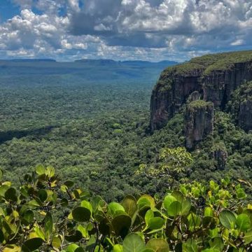 Gobierno de Colombia derogó decreto de protección a Bioma Amazónico