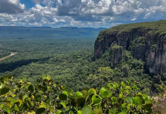colama Gobierno de Colombia derogó decreto de protección a Bioma Amazónico