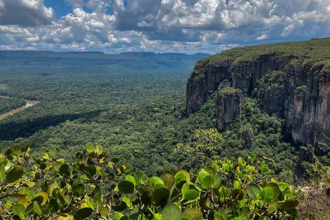colama Gobierno de Colombia derogó decreto de protección a Bioma Amazónico